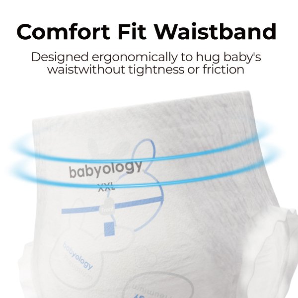 babyology拉拉裤副图3